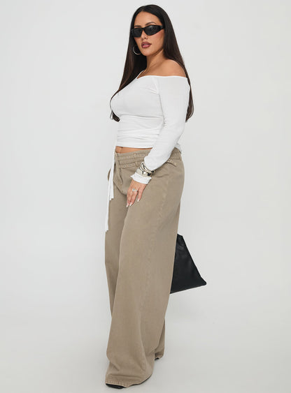 Paltrow Cargo Jeans Washed Brown Curve